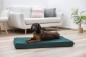 Preview: Orthopädische Matratze für Hunde Kerbl Oliver Memory-Foam - Ortho-Hundekissen, Polstermöbelstoff, Bezug waschbar