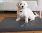 Preview: Petlando Milton Ortho - Orthopädische Hundematte - Lederimitat- abwischbar- anthrazit