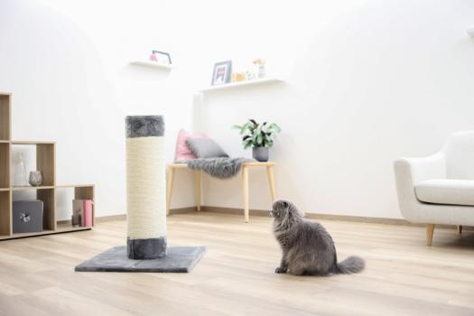 Kerbl Kratzbaum Opal Ultra 80cm - für große Katzen - Sisalstamm, Kratzstamm