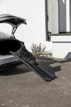 Hunderampe faltbar - bis 60 kg belastbare Einstiegshilfe für Hunde in Kofferraum