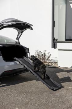 Einstiegshilfe Hund Kofferraum