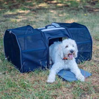 Hunde Transport Rucksack Castle von Nobby - Transporttasche für Hunde und Katzen bis 8 kg, ausklappbar
