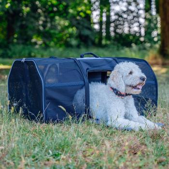 Hunde Transport Rucksack Castle von Nobby - Transporttasche für Hunde und Katzen bis 8 kg, ausklappbar