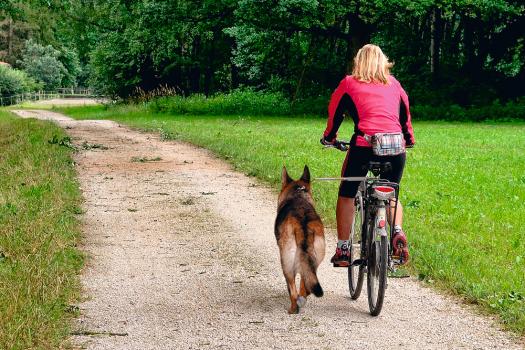 Abstandhalter Hund Fahrrad