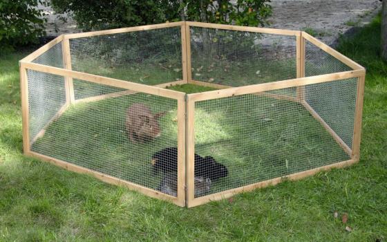 Kerbl Freilaufgehege Vario - Auslauf geeignet für Nager wie Meerschweinchen, Zwergkaninchen
