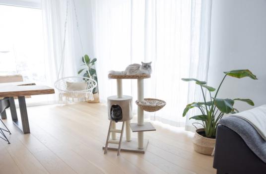 [ B-Ware ] Kratzbaum Banana Leaf Waxy von Kerbl - Höhe 104 cm