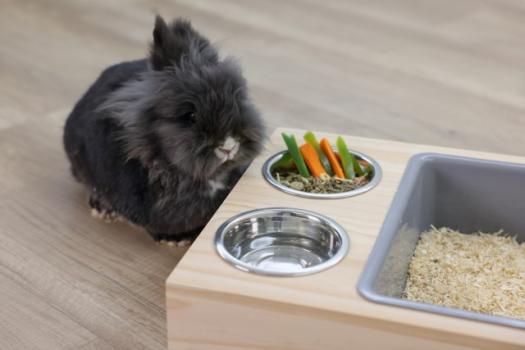 Kaninchen Buddelkiste mit Futterstation und Heuraufe Echtholz unbehandelt - auch als Nagertoilette nutzbar