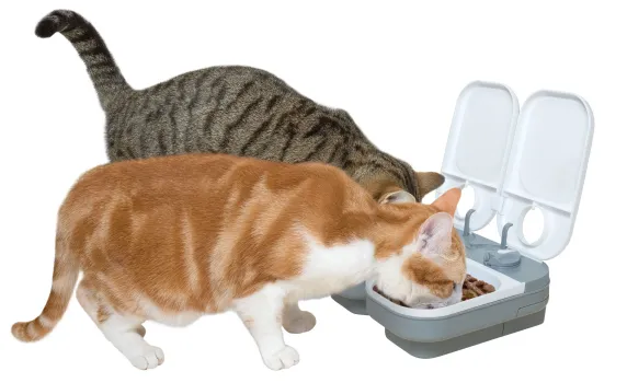 Automatischer Futterspender Cat Mate 2 Mahlzeiten für Trockenfutter und Nassfutter