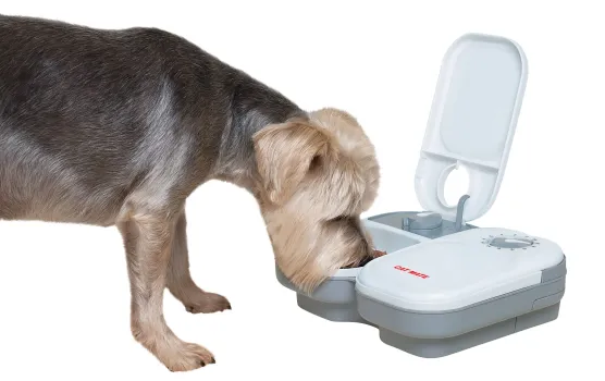 Automatischer Futterspender Cat Mate 2 Mahlzeiten für Trockenfutter und Nassfutter