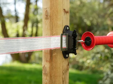 Profi Eckisolatoren / Streckenisolator 30 oder 50 Stück Isolatoren geeignet für Litze, Seil, Band bis 40 mm