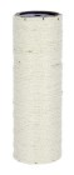 Ersatzstamm-Dolomit-30