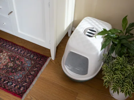 Katzentoilette Furba Top mit Reinigungssieb - 4-teilige Haubentoilette für Katzen 58,5 x 39 cm x 42 cm