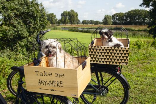 Hunde-Fahrradkorb für hinten auf den Gepäckträger, Klicksystem Klickfix, mit Gitter von beeztees