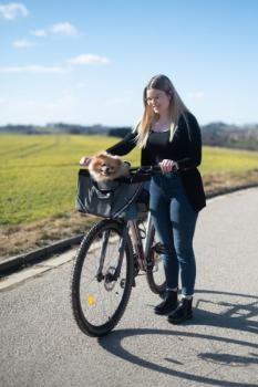 Fahrradkorb Hunde Vacation - Fahrradtasche für kleine Hunde z.B. Chihuahua, Yorkshire zum Anbringen an den Lenker