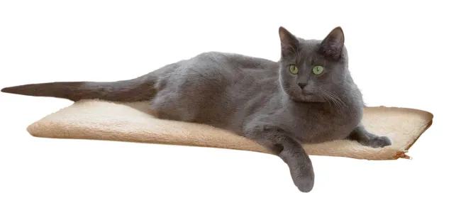 Kerbl Fensterliegekissen für Katzen selbstwärmend - Katzenbett für Fensterbank 60 x 26 x 2 cm, waschbarer Bezug