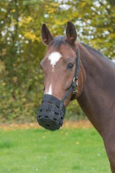 Maulkorb Pferd - Fressbremse Nylon für ein gesundes Fressverhalten