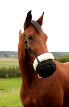 Fressbremse für Pferde - Maulkorb mir Teddyfleece gepolstert