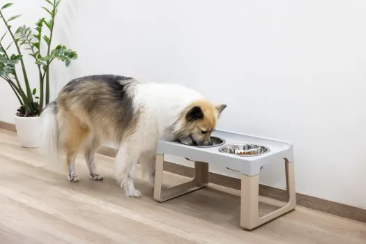 Futterbar erhöht Lifter für kleine und mittelgroße Hunde - Hundebar inkl 2 Edelstahlnäpfe Made in Italy