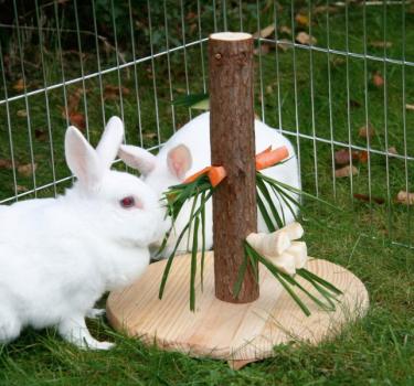 Gemüseraufe Nager - Futterbaum für Kaninchen, Meerschweinchen und andere Nager Höhe: 30 cm