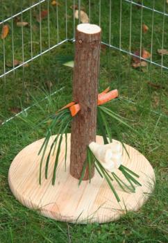 Futterbaum für Kaninchen