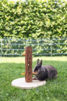 Gemüseraufe Nager - Futterbaum für Kaninchen, Meerschweinchen und andere Nager Höhe: 30 cm