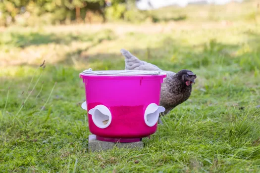 Futtereimer für Geflügel - Futterspender für Hühner 12 Liter, mit 4 Futteröffnungen
