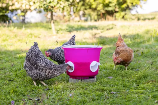 Futtereimer für Geflügel - Futterspender für Hühner 12 Liter, mit 4 Futteröffnungen