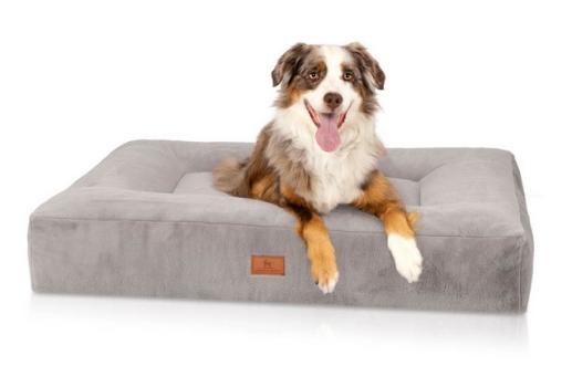 Knuffelwuff orthopädisches Hundebett Midland Memory Foam, Bezug waschbar, extra weich, hellgrau, bis XXL