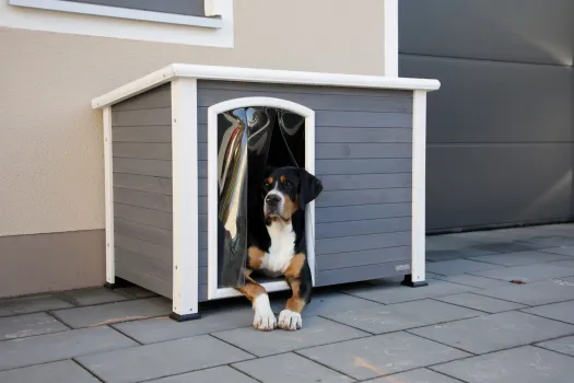 Hundehütte Outdoor - Hundehütte Kenny, wetterfest mit Lamellenvorhang, grau