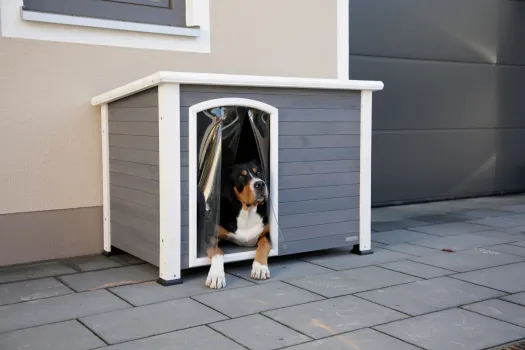 Hundehütte Outdoor - Hundehütte Kenny, wetterfest mit Lamellenvorhang, grau