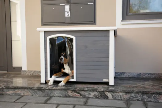 Hundehütte Outdoor - Hundehütte Kenny, wetterfest mit Lamellenvorhang, grau
