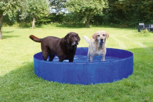 Stabiler Hundepool - Planschbecken für Hunde zur Abkühlung im Sommer - mit Ablassventil