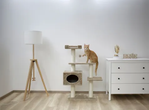 Kratzbaum Emmy - Höhe 111 cm Katzenbaum mit Katzenhöhle, beige, für Katzen und Kitten