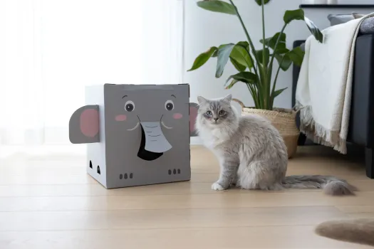 Kratzpappe Elefant für Katzen und Kitten - Katzenhöhle zum Kratzen und Spielen Indoor, 35 x 35 x 39cm, grau