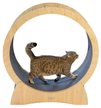 Katzenlaufrad - Laufrad für Katzen Lauffläche 30 cm, ⌀ 90 cm