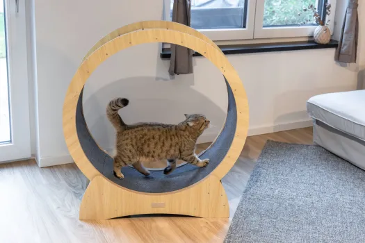 Katzenlaufrad - Laufrad für Katzen Lauffläche 30 cm, ⌀ 90 cm