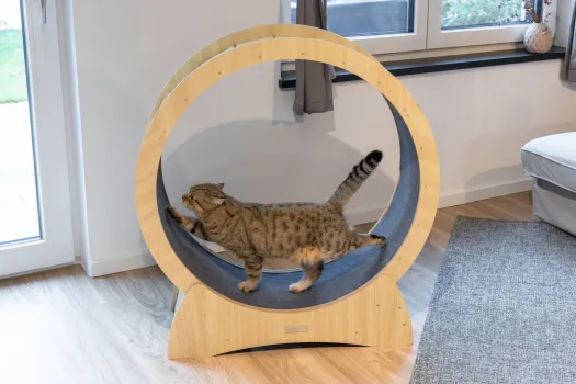 Katzenlaufrad - Laufrad für Katzen Lauffläche 30 cm, ⌀ 90 cm