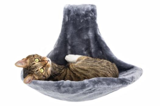 Nobby Heizungsliege Paradies - Hängematte und Liegemulde für Katzen, grau. waschbar bei 30°C