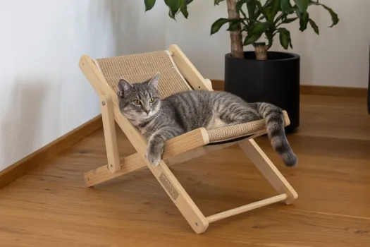 Katzenbett Liegestuhl Beach - Liedgemulde für Katzen zum Relaxen, Dösen und Kratzen