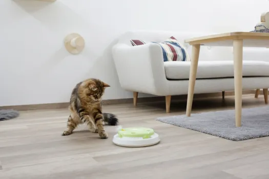 Katzenspielzeug Pompom - elektronisches Katzenspielzeug mit rotierender Feder