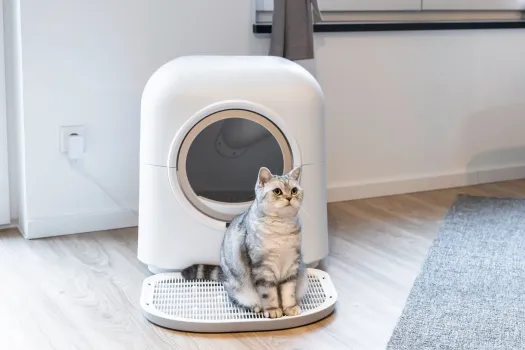Katzentoilette Smart, selbstreinigend weiß mit Appsteuerung 54 x 54 x 60 cm - Haubentoilette mit Filter vollautomatisch
