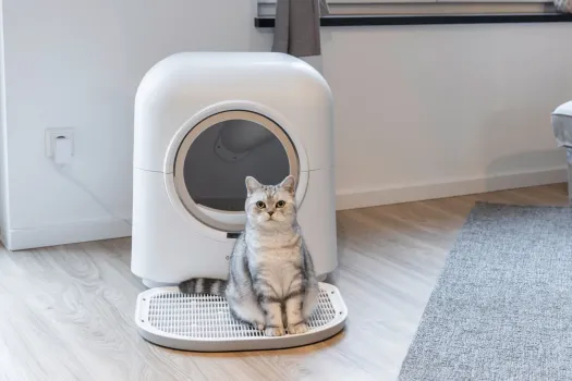 Katzentoilette Smart, selbstreinigend weiß mit Appsteuerung 54 x 54 x 60 cm - Haubentoilette mit Filter vollautomatisch