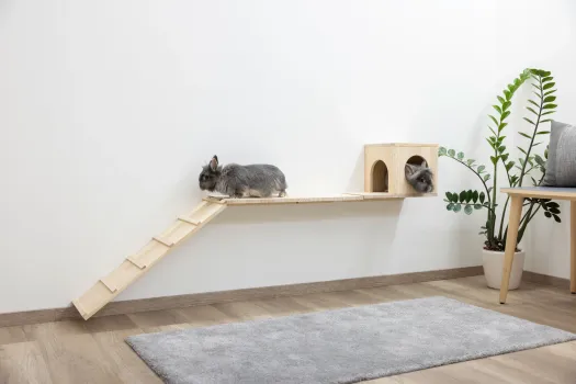 Kletterwand für Nager und Katzen - Kleintier Wand Parcours Sidewalk / Catwalk 3-teilig - Kaninchen, Frettchen, Kaninchen und Katzen Wandmontage