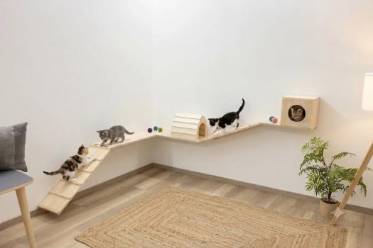 Kletterwand für Nager und Katzen - Kleintier Wand Parcours Sidewalk / Catwalk 6-teilig - Kaninchen, Frettchen, Kaninchen und Katzen Wandmontage
