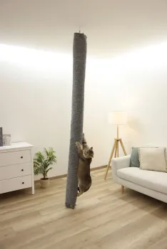 Klettersack Carpet für Katzen - ideale Alternative zu Kratzbaum deckenhoch, Aufstiegshilfe, Bezug waschbar, grau