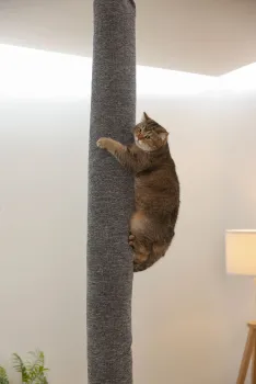 Klettersack Carpet für Katzen - ideale Alternative zu Kratzbaum deckenhoch, Aufstiegshilfe, Bezug waschbar, grau