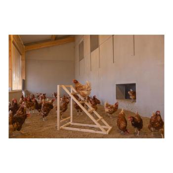 Kletterturm für Hühner mit Hühnerschaukel, auch für Papageien geeignet