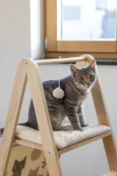 Designer Kratzbaum Kerbl Ladder 2.0 - Katzenkratzbaum und Katzenleiter in Einem, mit Hängematte und 2 Liegeflächen 104 cm