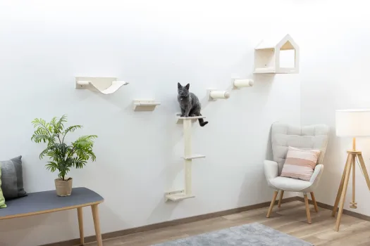 Kletterwand Monte Falco für Katzen, 6-teilig, beige - Wandkratzbaum beliebig montierbar und erweiterbar