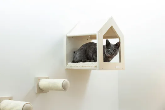 Kletterwand Monte Falco für Katzen, 6-teilig, beige - Wandkratzbaum beliebig montierbar und erweiterbar